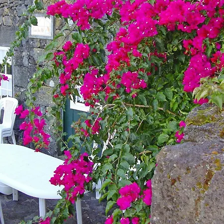 Holiday home Home, Prainha De Baixo, Pico, Azores